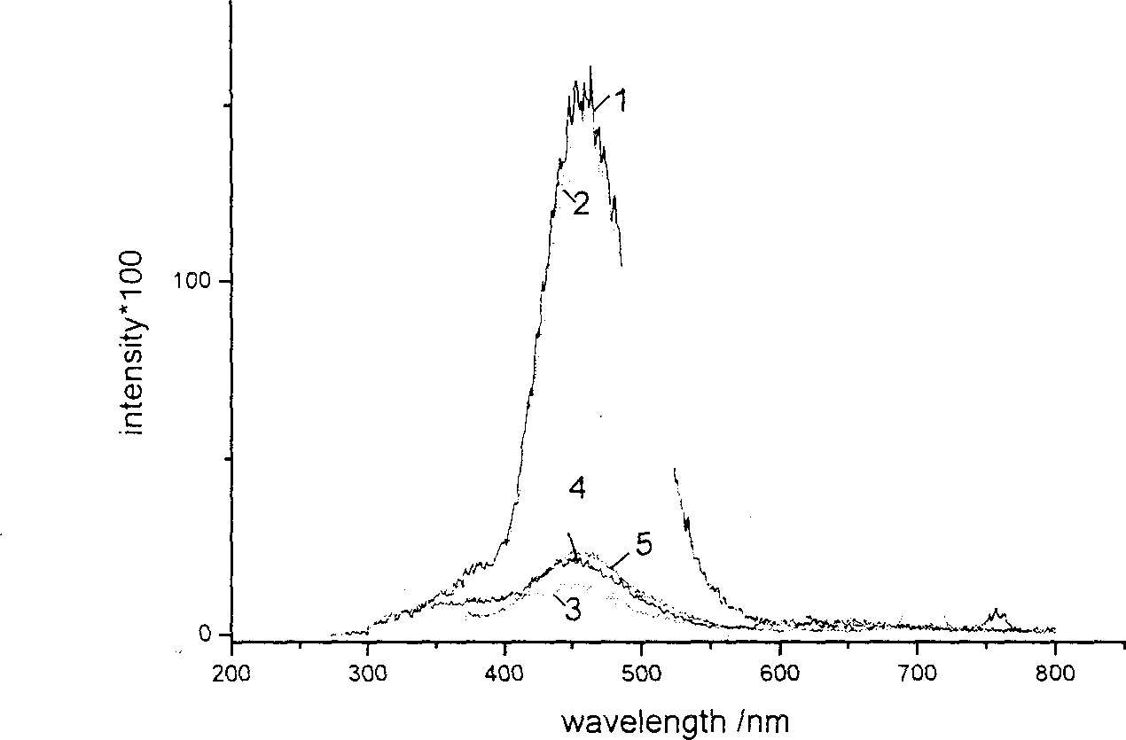 Raveearth multi-element compounding material light conversion agent with ecological and phycological characteristics and preparation process thereof