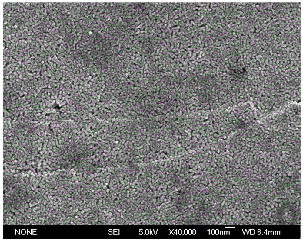 Immobilized cutinase, preparation method and application of removing phthalates in water