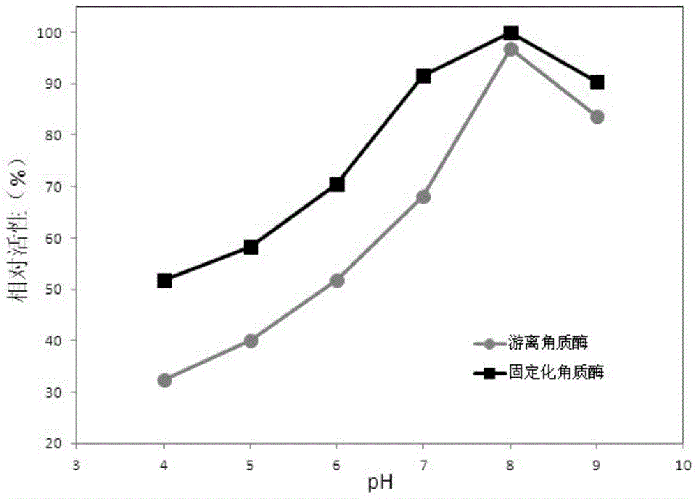 Immobilized cutinase, preparation method and application of removing phthalates in water