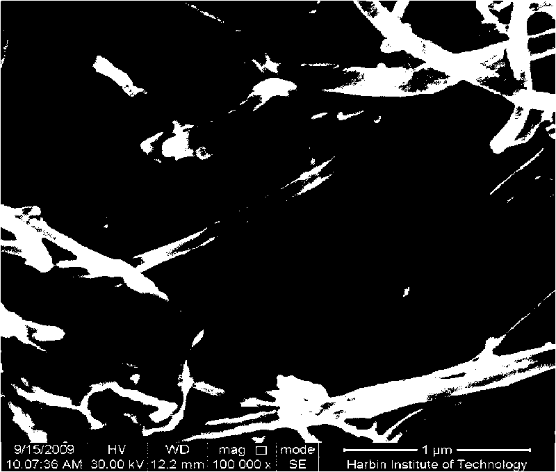 Method for plating nickel layer on surface of multiwall carbon nanotube