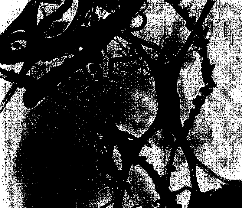 Method for plating nickel layer on surface of multiwall carbon nanotube