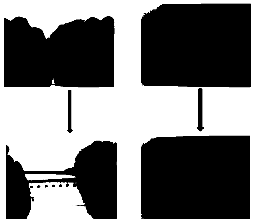 Flexible self-healing conductive hydrogel sensor and preparation method thereof