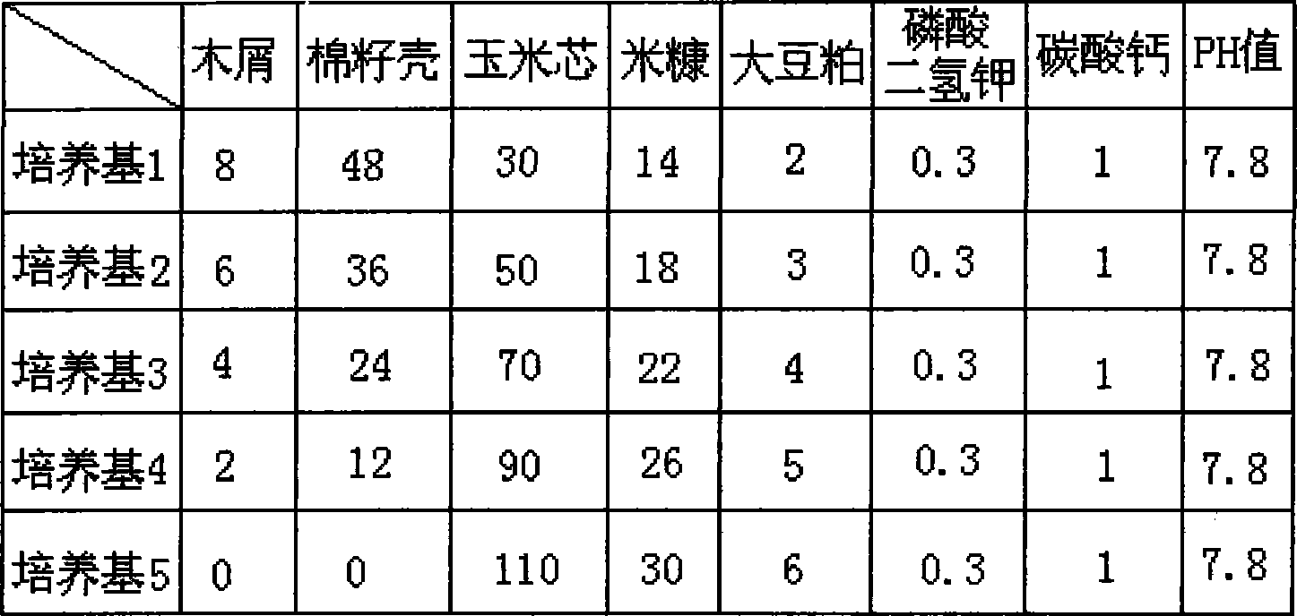 Domestic fungus flour, noodle and method for preparing the same