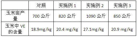 Weed killer containing cordate houttuynia extract and application thereof in saline-alkali soil corn planting