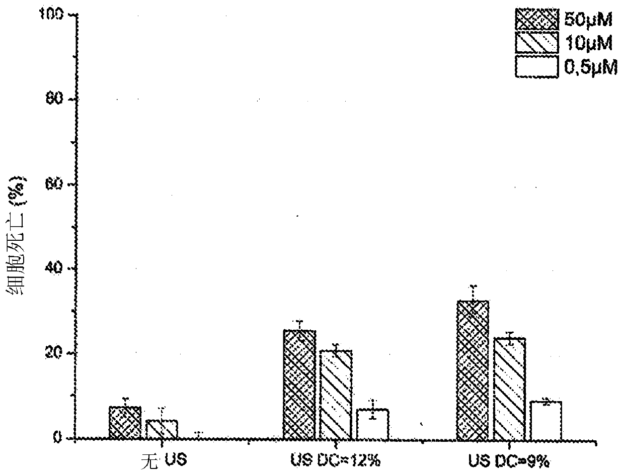 System for inducing sonoporation of a drug into cancer cells and method thereof