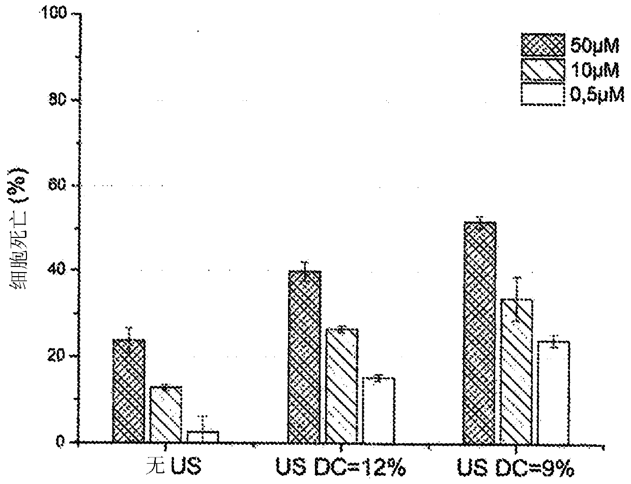 System for inducing sonoporation of a drug into cancer cells and method thereof