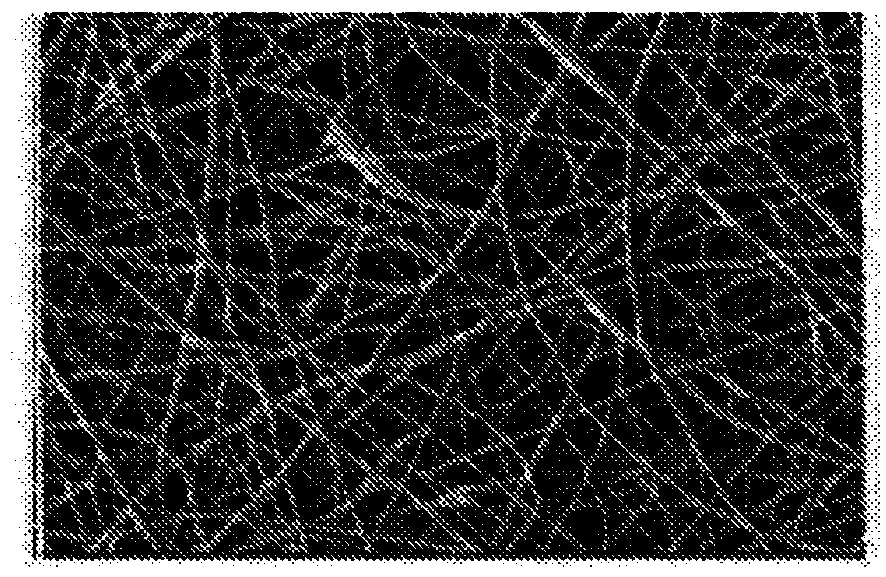 Tissue substitute materials and methods for tissue repair