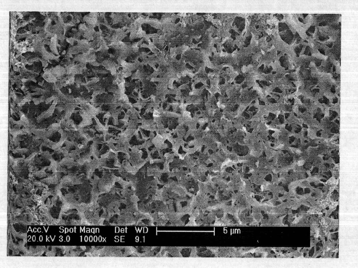 Silver-loaded antibacterial artificial joint and preparation method thereof