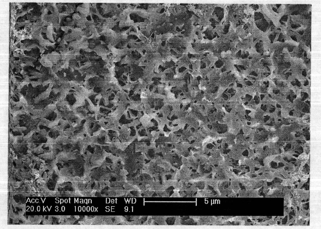 Silver-loaded antibacterial artificial joint and preparation method thereof