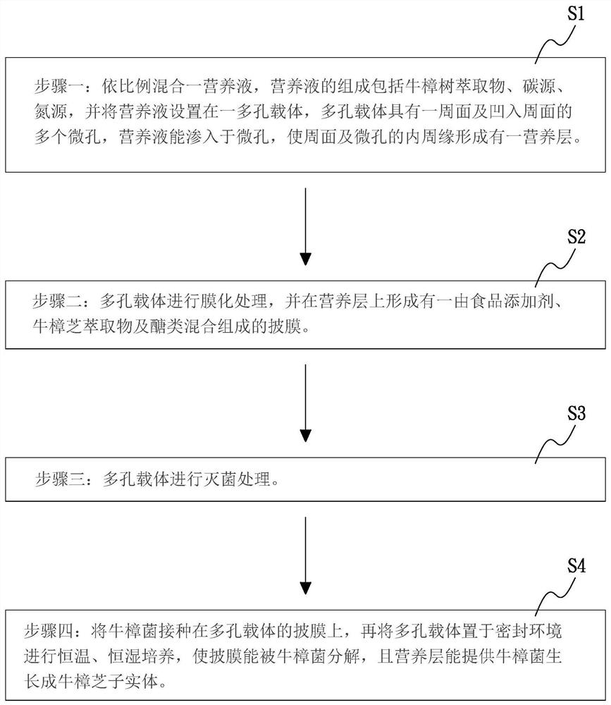 Antrodia camphorata cultivation method and porous carrier for cultivating antrodia camphorata