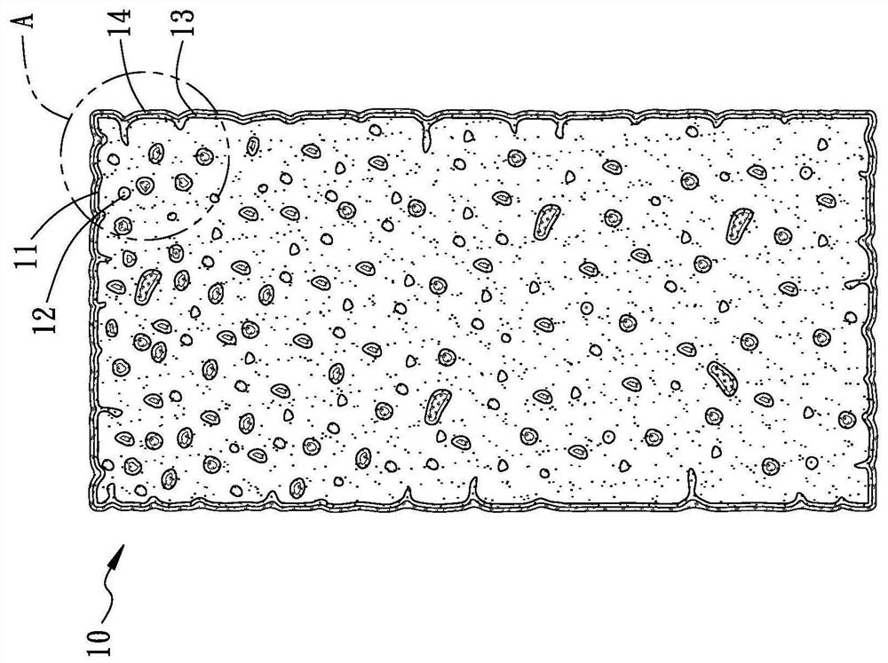 Antrodia camphorata cultivation method and porous carrier for cultivating antrodia camphorata