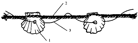 Reinforcement type wind wave resistant oyster cultivation method