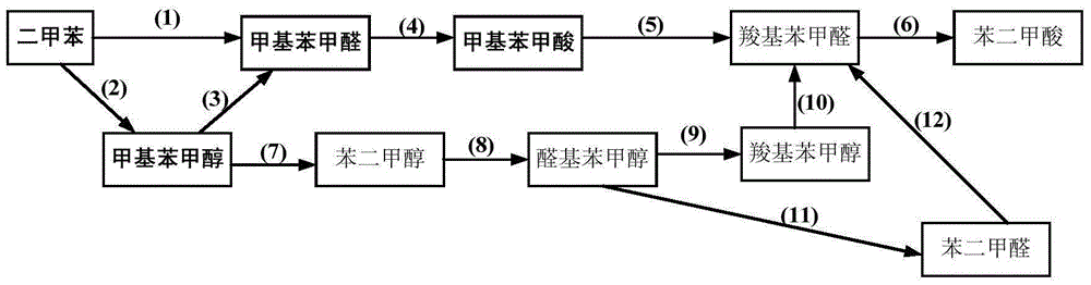 A method for co-producing methyl benzyl alcohol, methyl benzaldehyde and methyl benzoic acid