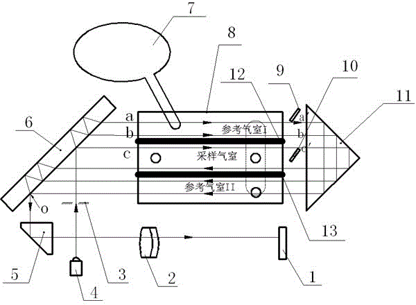 Optical interference gas detection system with air pressure balance device