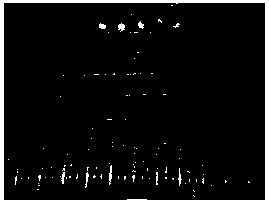 Eurotium Cristatum zinc-rich strain and domestication and fermentation method