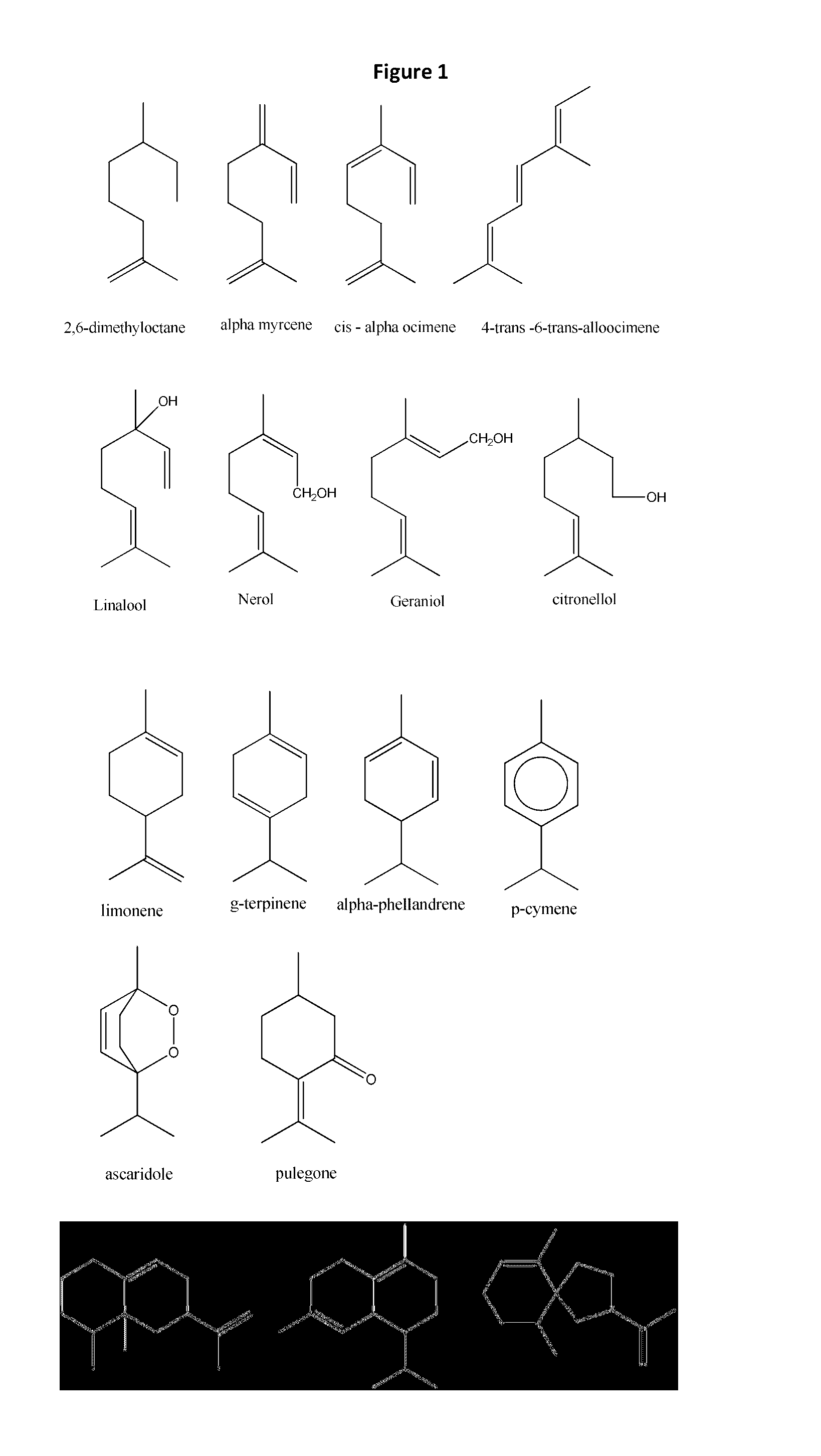 Methods for high yield production of terpenes