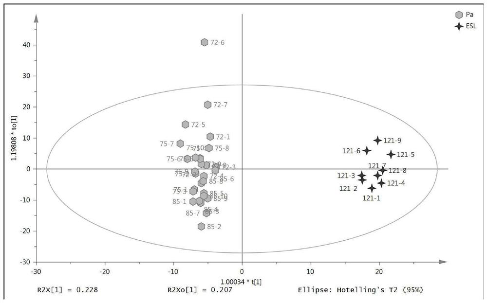 Proteome biomarkers of milk of different processing technologies and screening method and application thereof