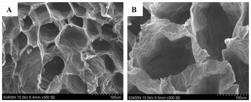 A nutrient management method for simultaneously increasing the content of propanol in wax gourd fruit and improving the fruit shape of wax gourd