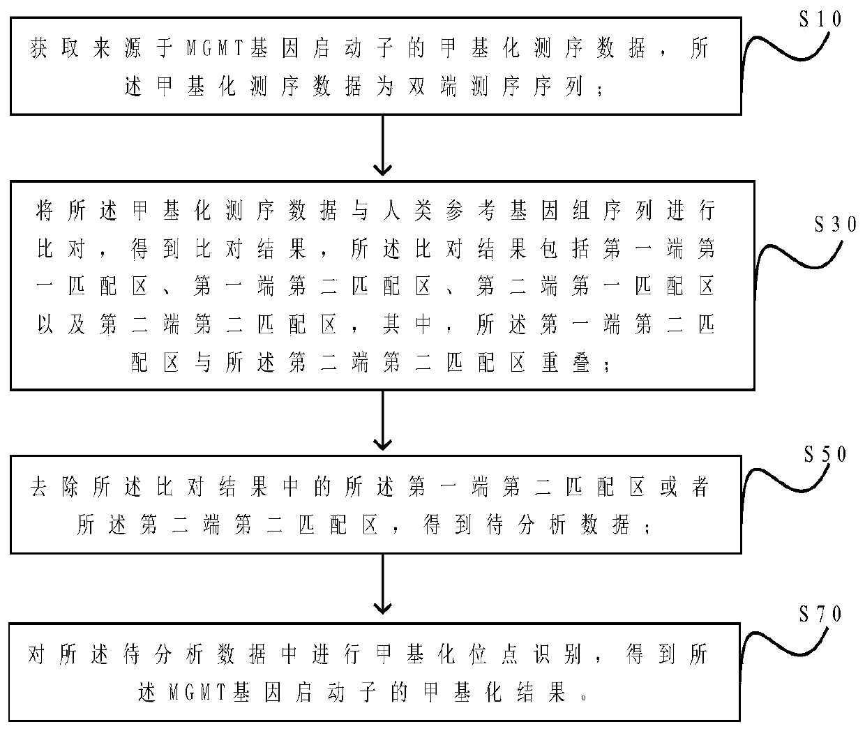 MGMT gene promoter methylation detecting method, sequencing data processing method and processing device