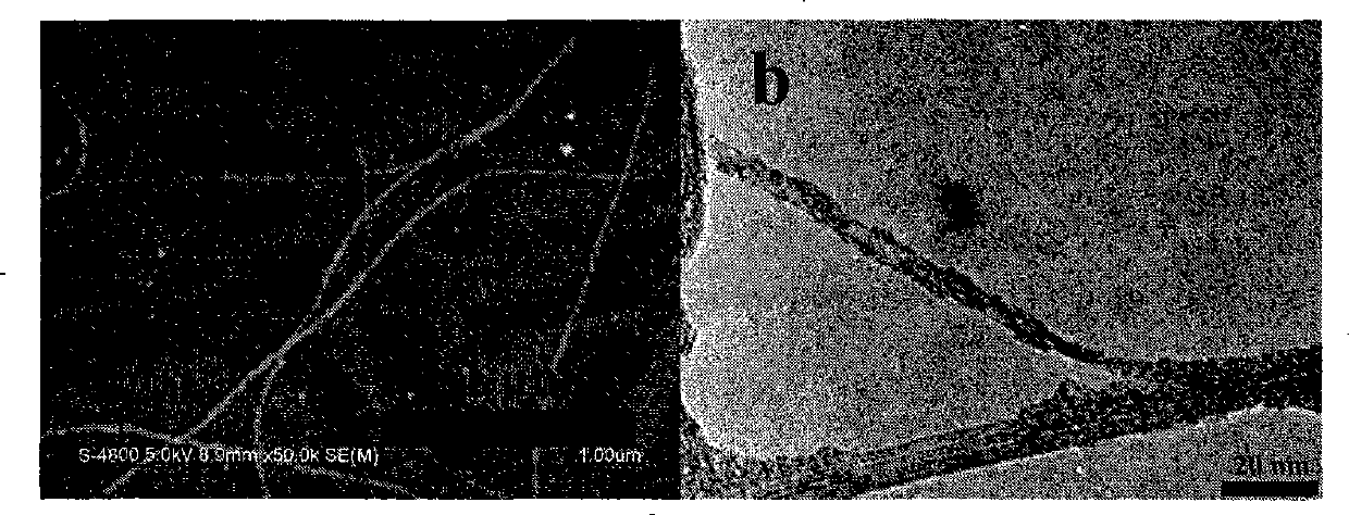 Functional polyfluorene compound and intermediate and application thereof