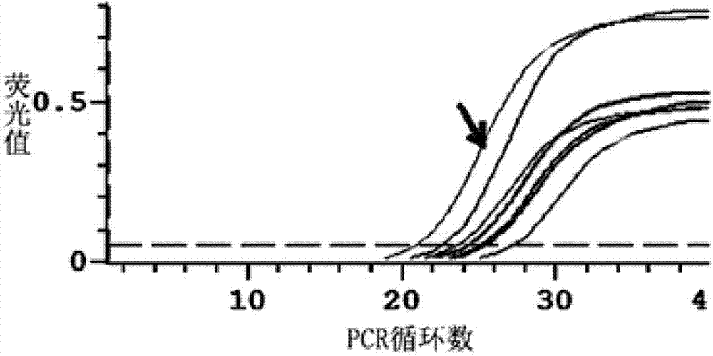 Reagent kit and testing method for rapidly evaluating whether intestinal microecology of human body is unbalanced