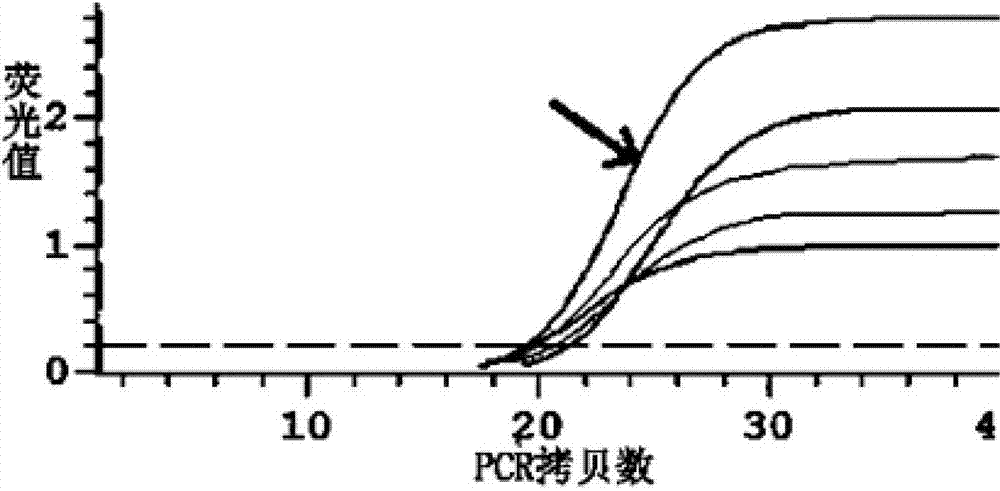 Reagent kit and testing method for rapidly evaluating whether intestinal microecology of human body is unbalanced