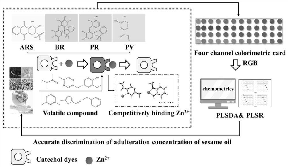 A kind of method for detecting adulteration of sesame oil