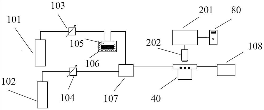 Detection device and system for nucleation of atmospheric ice nucleus