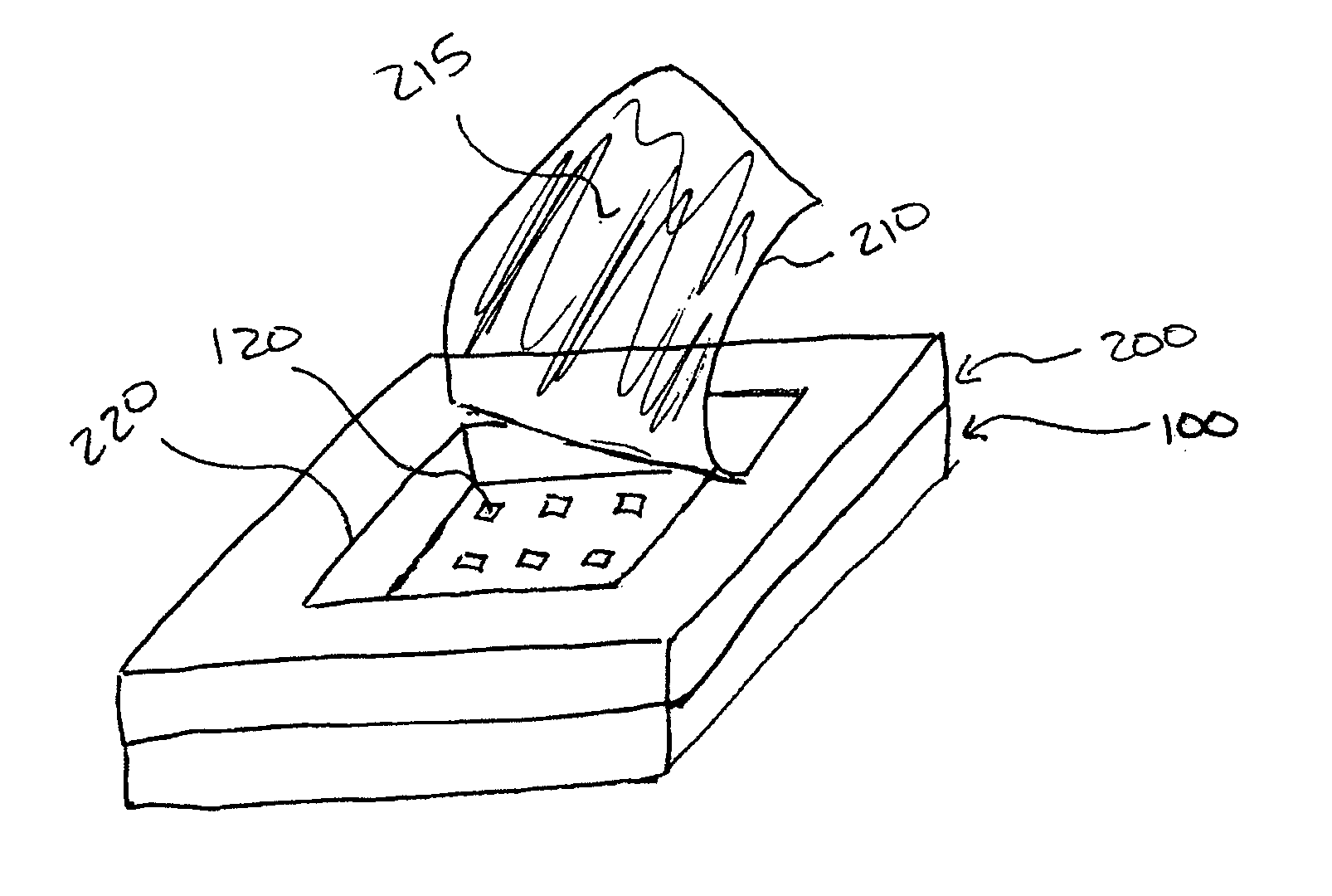 Nano-enhanced raman spectroscopy substrate packaging structure