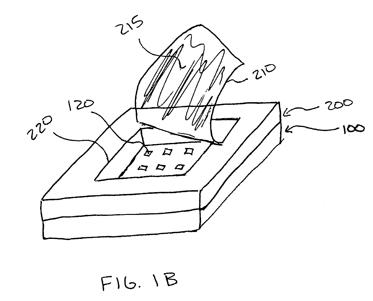 Nano-enhanced raman spectroscopy substrate packaging structure