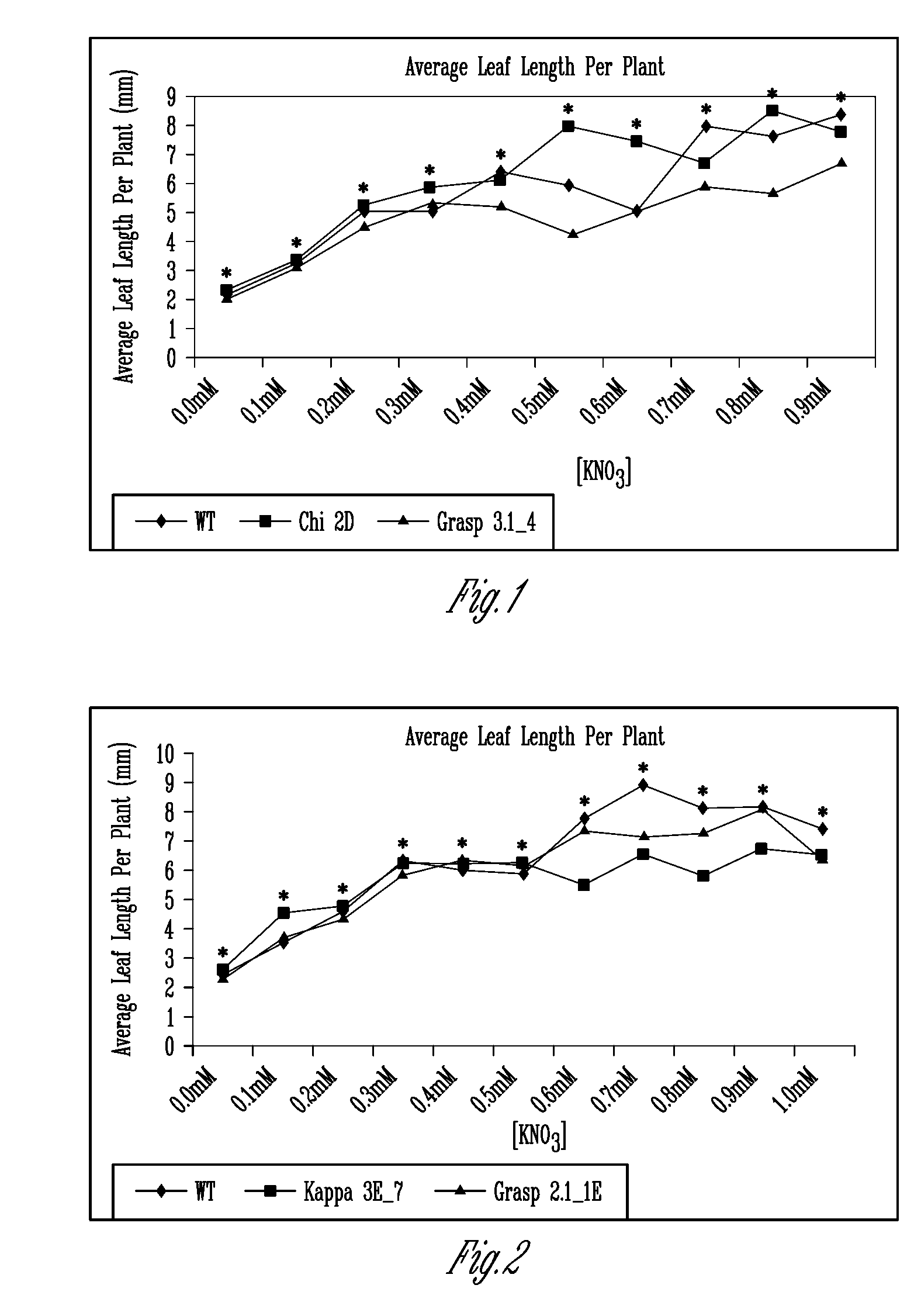 Glutamate receptor associated genes and proteins for enhancing nitrogen utilization efficiency in crop plants