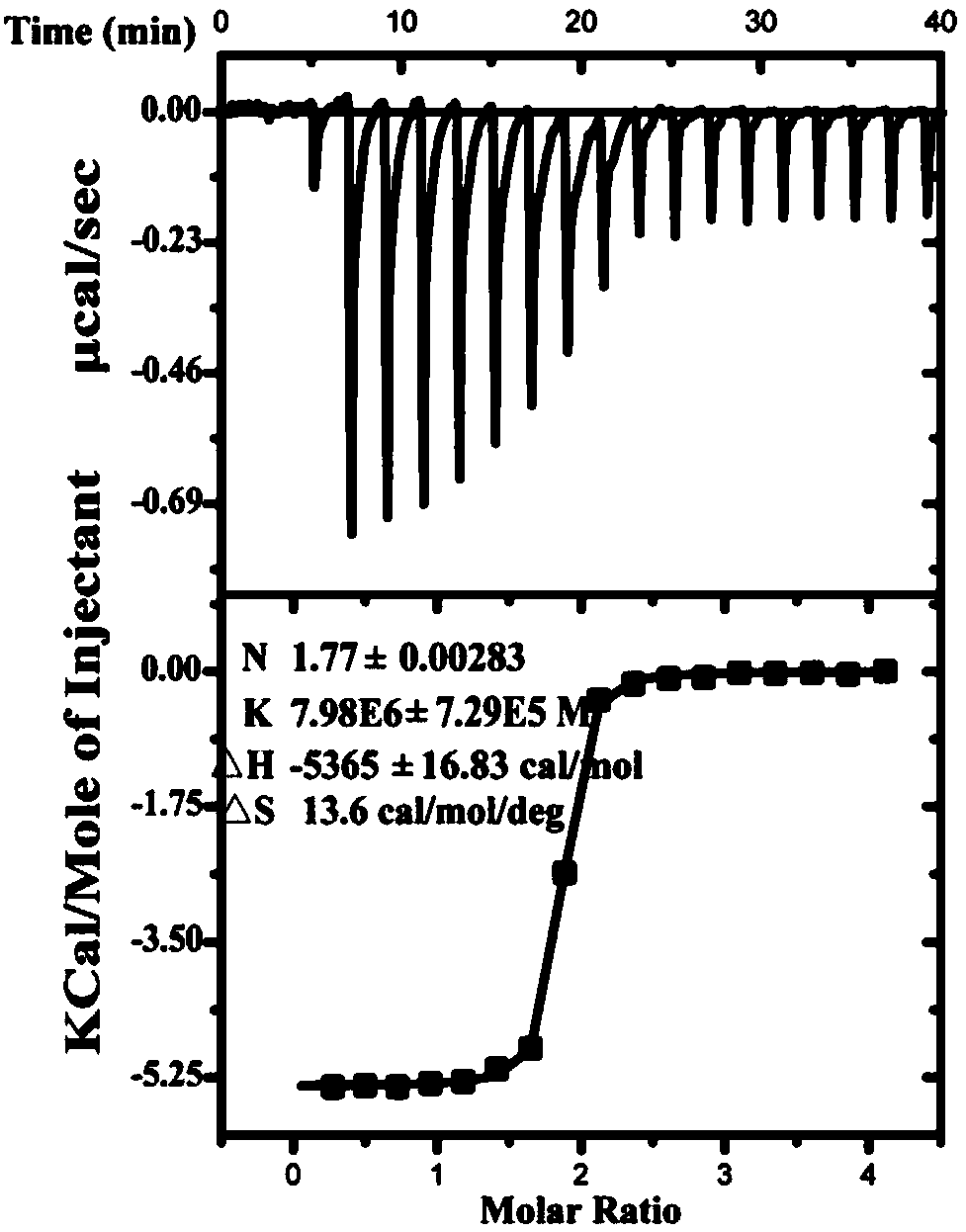 Design of polypeptides specifically binding to immune protein of pseudomonas aeruginosa type VI secretion system, and validation of antibacterial activity of polypeptides