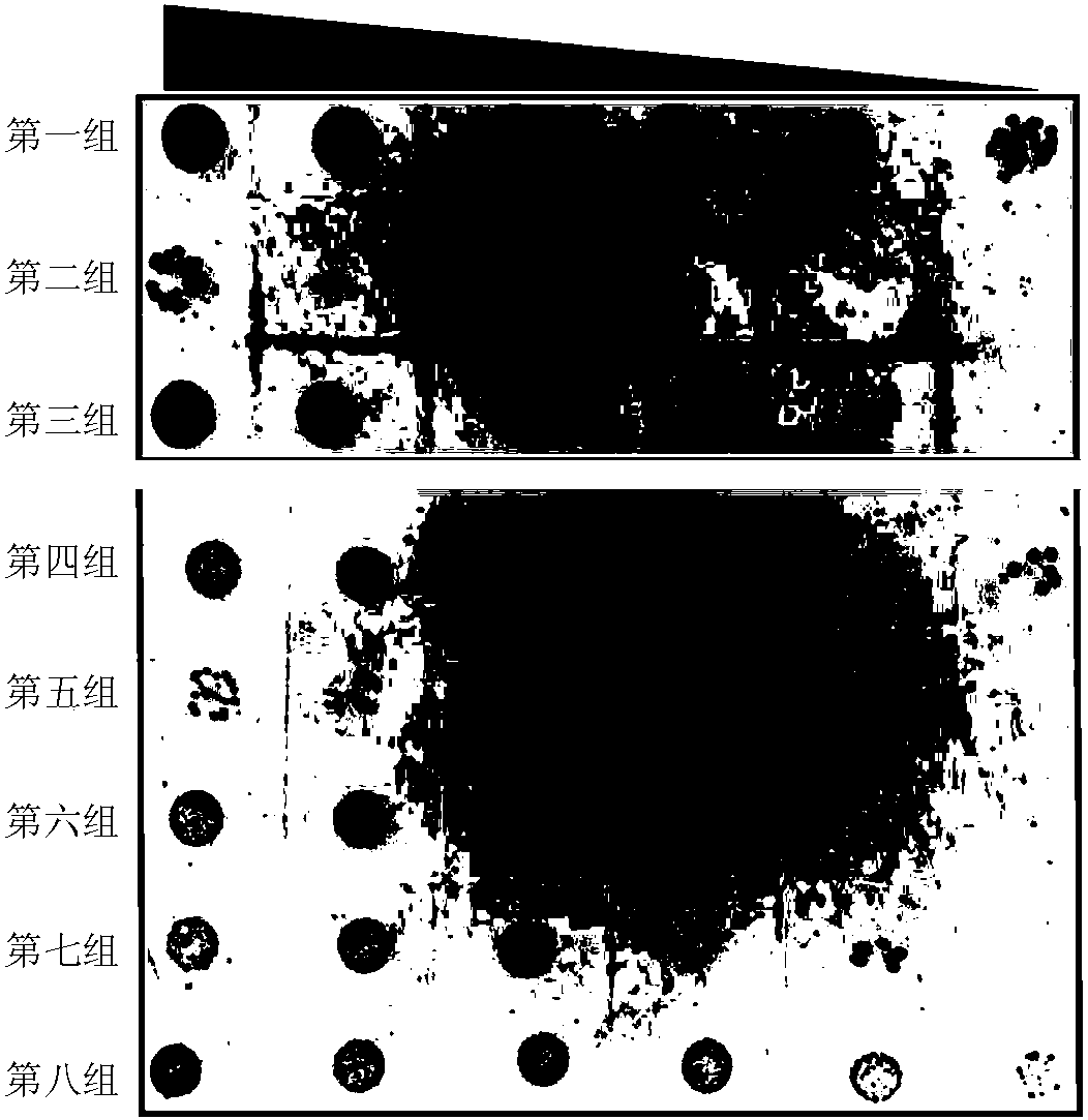 Design of polypeptides specifically binding to immune protein of pseudomonas aeruginosa type VI secretion system, and validation of antibacterial activity of polypeptides