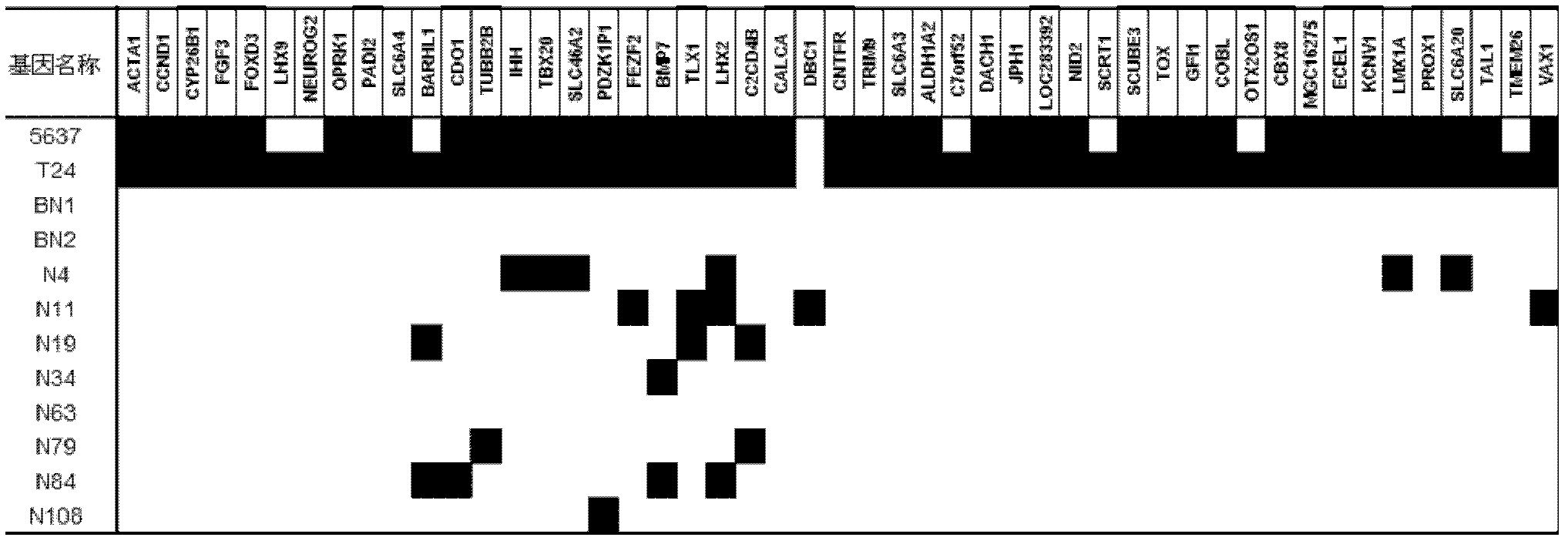 Method and kit for diagnosing bladder cancer with urine