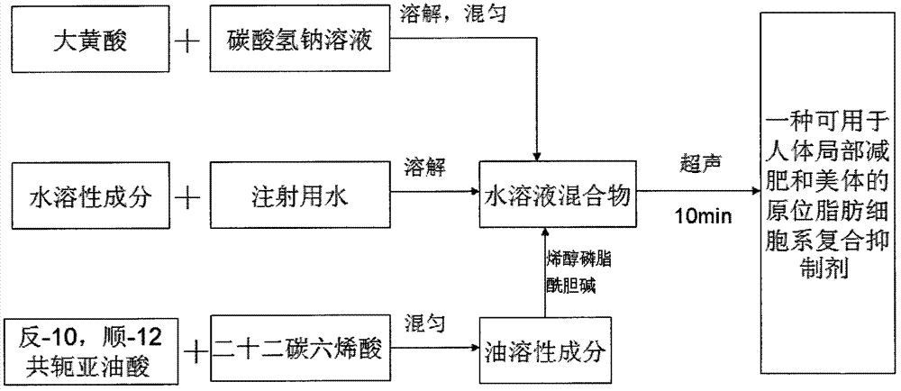 In-situ adipocyte composite inhibitor for local weight loss and body care of human bodies and preparation method thereof