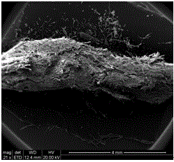 Micro-nano ZnO/composite cellulose strip material and preparation method thereof