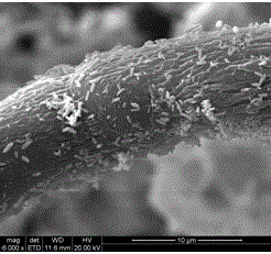 Micro-nano ZnO/composite cellulose strip material and preparation method thereof