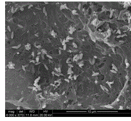 Micro-nano ZnO/composite cellulose strip material and preparation method thereof