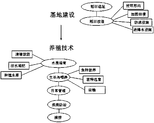 Base based on breeding method of red swamp crayfish