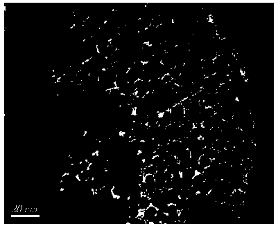 Flexible composite electrode material, a preparation method and an application thereof