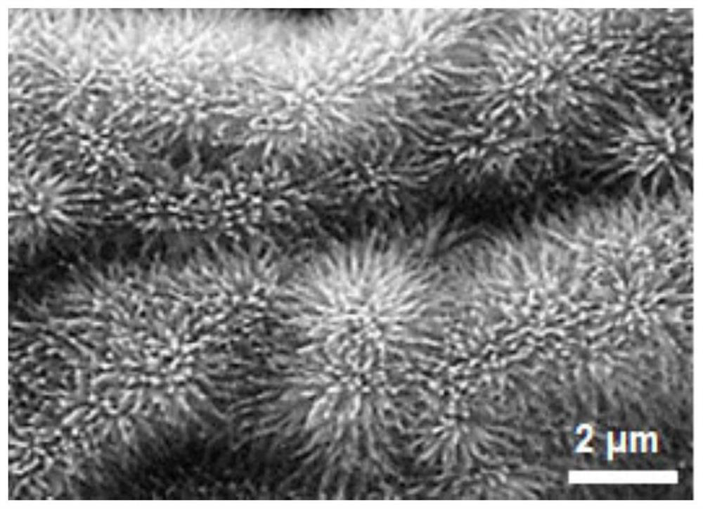 Preparation method of phosphorus-doped graphene fiber modified by cobaltosic oxide nanowire, product prepared by preparation method and application of product