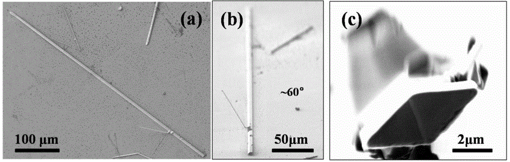 Preparation method of ZnO (zinc oxide) nanometer-micrometer rod with parallelogram cross section