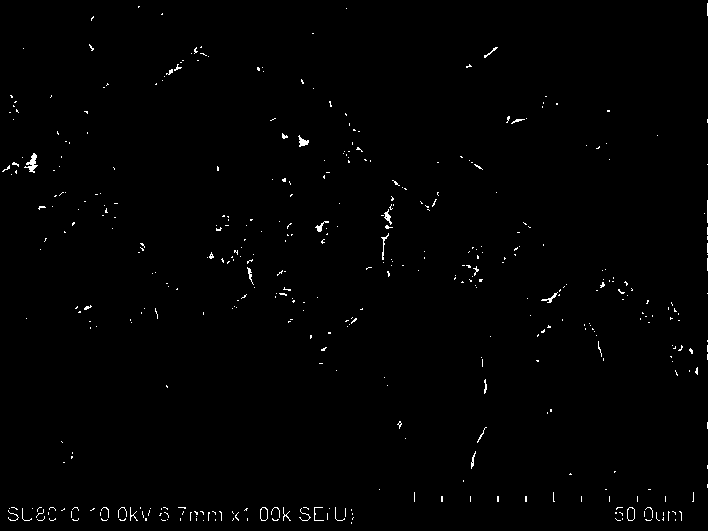 Self-assembling carbon nitride-TiO2/hollow structure biomass charcoal degradation ammonia nitrogen composite and preparation method thereof