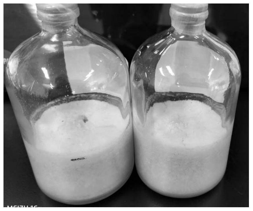 Preparation method of freeze-dried plasma