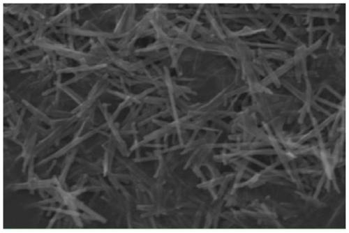 Alpha-molybdenum trioxide@molybdenum disulfide material as well as preparation method and application thereof