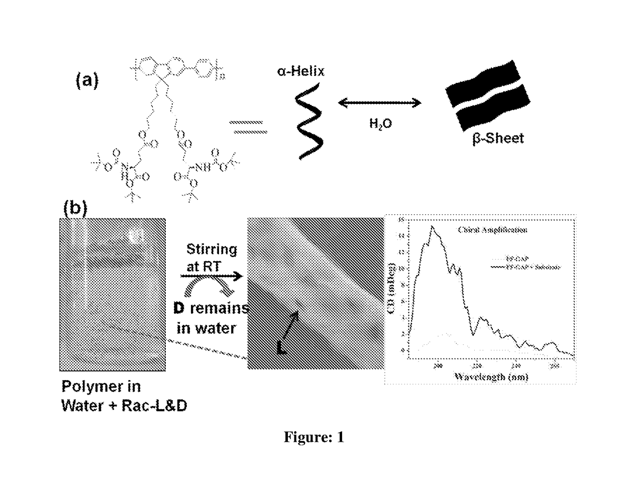 A novel chiral polymer for enantioselective separation and process for preparation thereof