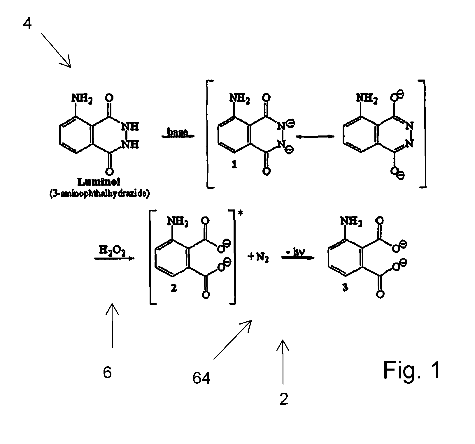 Apparatus and method for the remote sensing of blood in human feces and urine