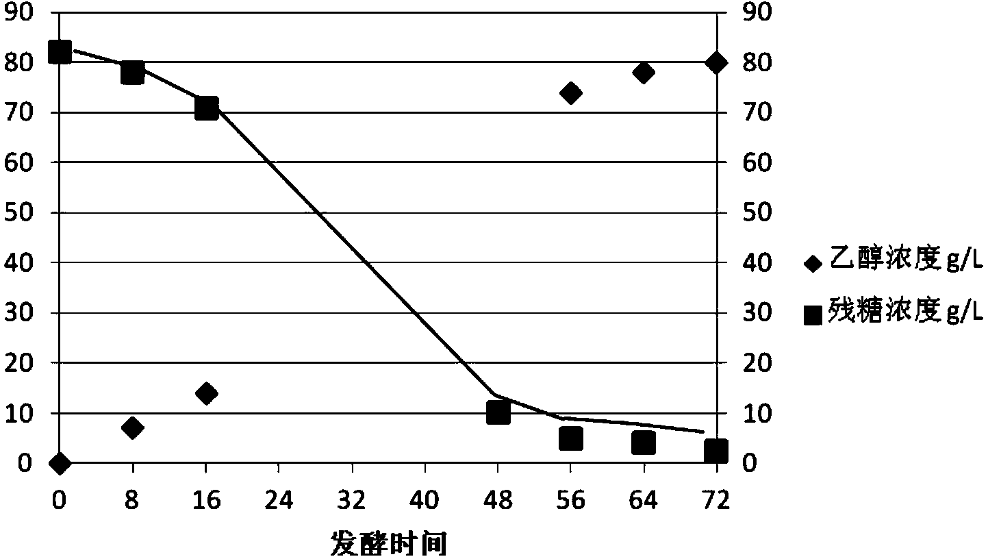 Method for producing fuel ethanol by fermenting wine lees