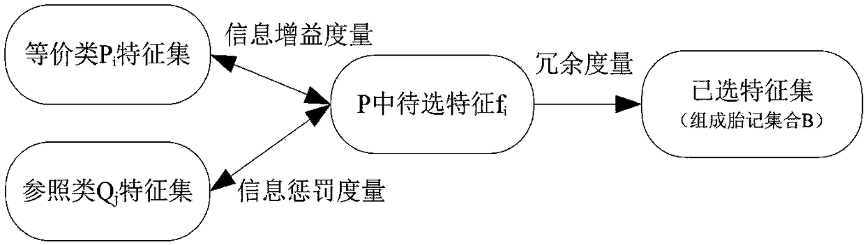 Constraint limited clustering and information measuring software birthmark feature selection method and computer