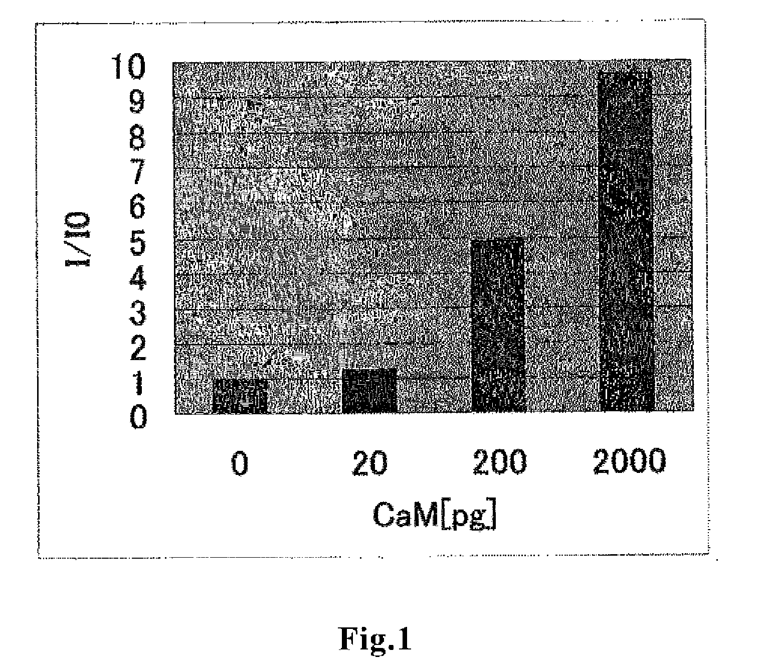 Substrate for biochip and biochip